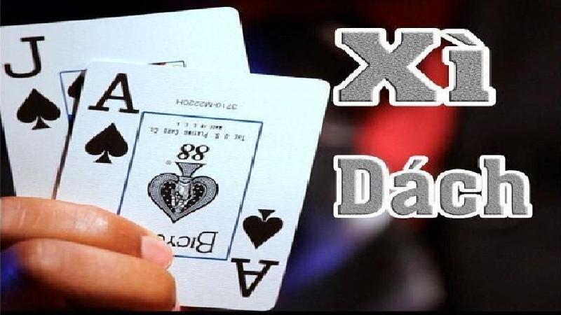 Hướng dẫn tổng quan về cách chơi bài Xì dách chuẩn xác 